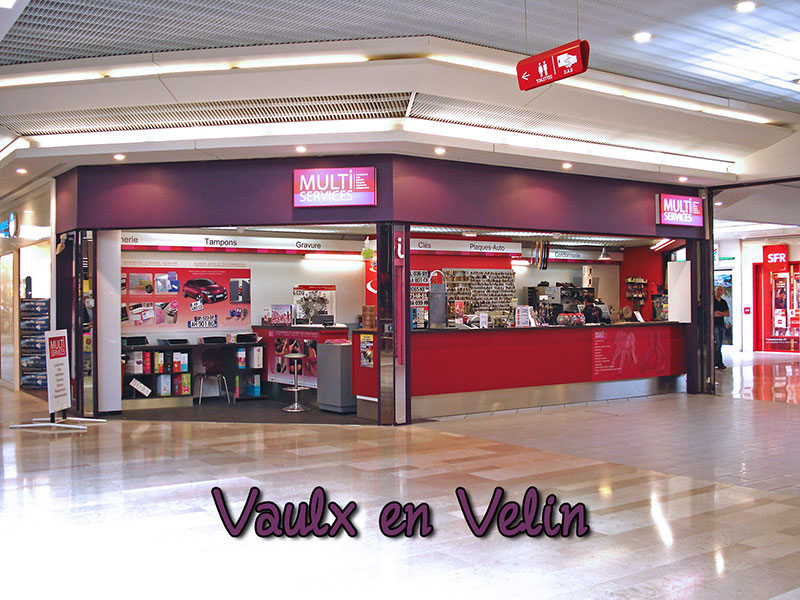  MULTISERVICES VAULX-EN-VELIN