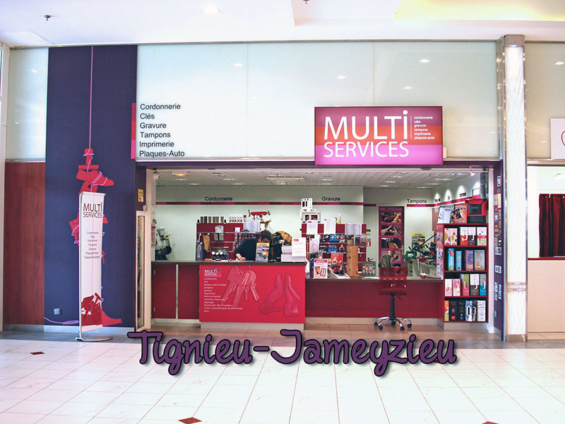  MULTISERVICES TIGNIEU-JAMEYZIEU