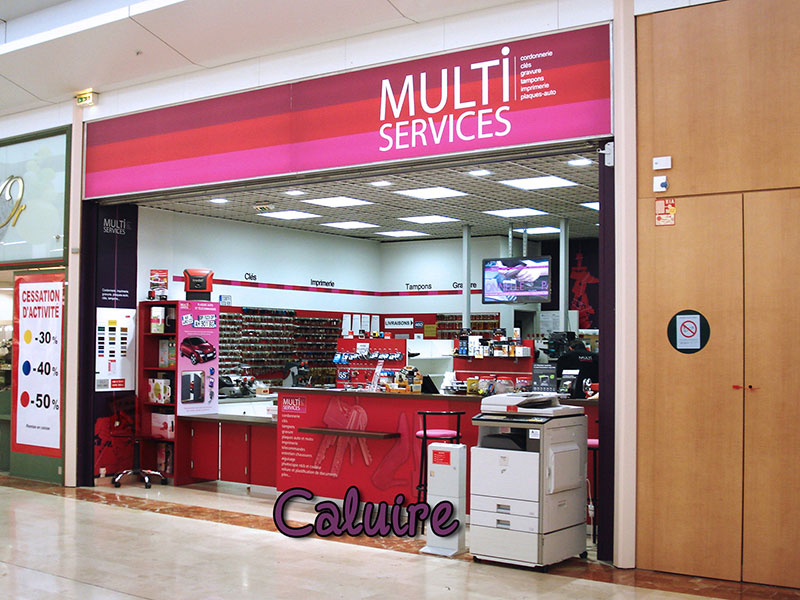  MULTISERVICES CALUIRE-ET-CUIRE